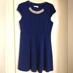 🟣 NWT blue dress
